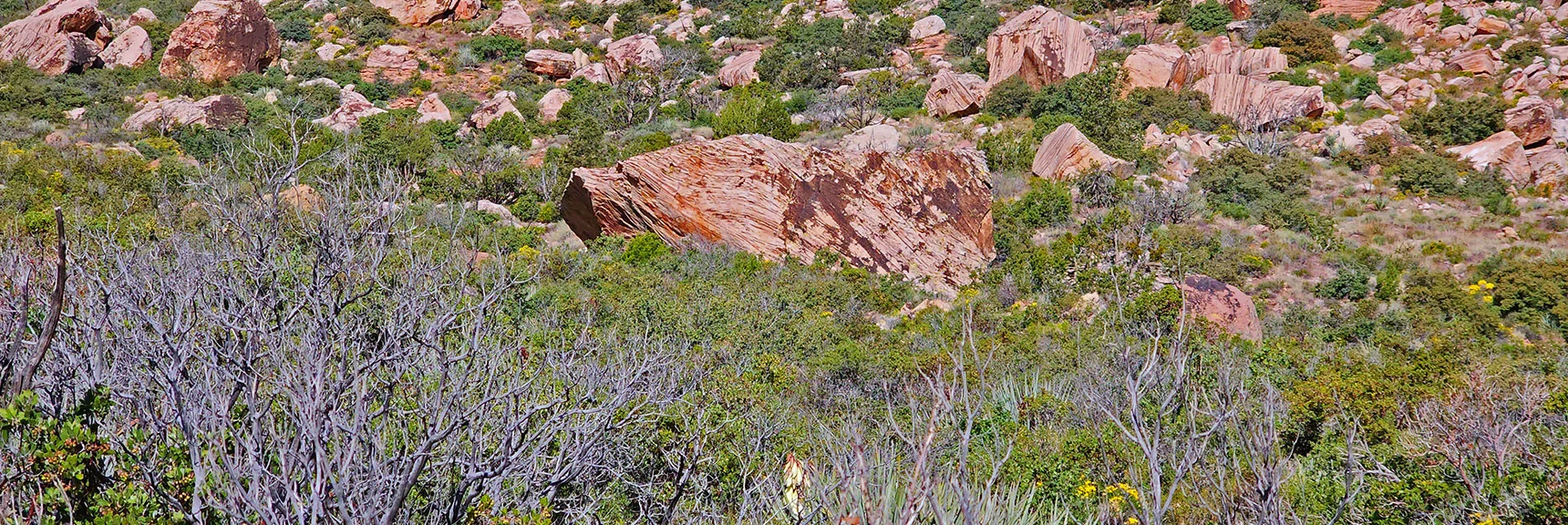 4th Stage: Cross Under Juniper Canyon Landmark Boulder to Ascent on North Side of Canyon | Juniper Peak Summit | Rainbow Mountain Wilderness, Nevada | David Smith, LasVegasAreaTrails.com
