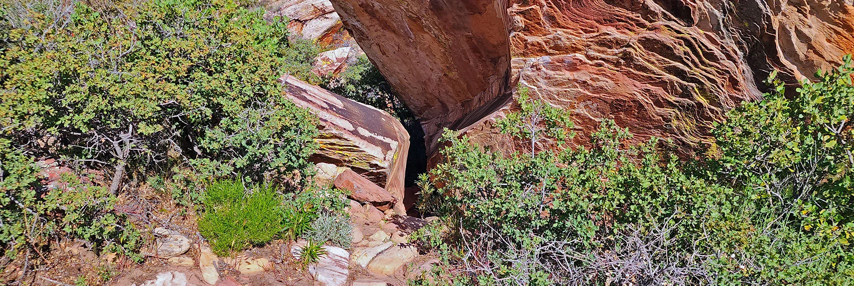 Squeeze Crossing Under Upper End of Juniper Canyon Landmark Boulder | Juniper Peak Summit | Rainbow Mountain Wilderness, Nevada | David Smith, LasVegasAreaTrails.com
