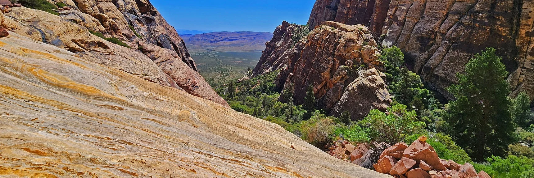 Challenge: Avoid Dramatic Exposure on Your Right. | Juniper Peak Summit | Rainbow Mountain Wilderness, Nevada | David Smith, LasVegasAreaTrails.com