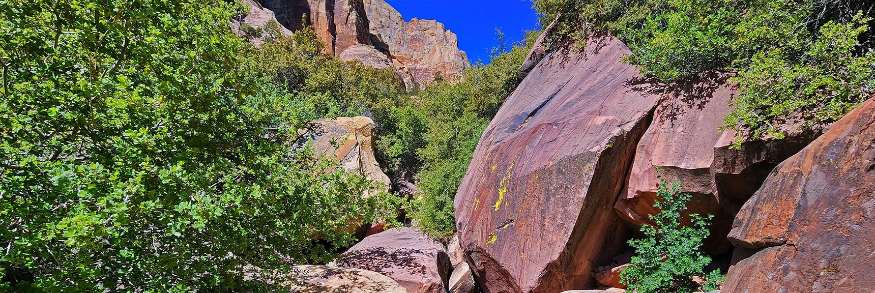 There is a Clear "Best" Route Winding and Ascending Through Brush and Boulders | Juniper Peak Summit | Rainbow Mountain Wilderness, Nevada | David Smith, LasVegasAreaTrails.com
