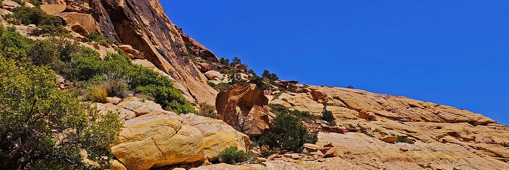 Terrain Actually Becomes a Bit More Climber-Friendly Up Here | Juniper Peak Summit | Rainbow Mountain Wilderness, Nevada | David Smith, LasVegasAreaTrails.com