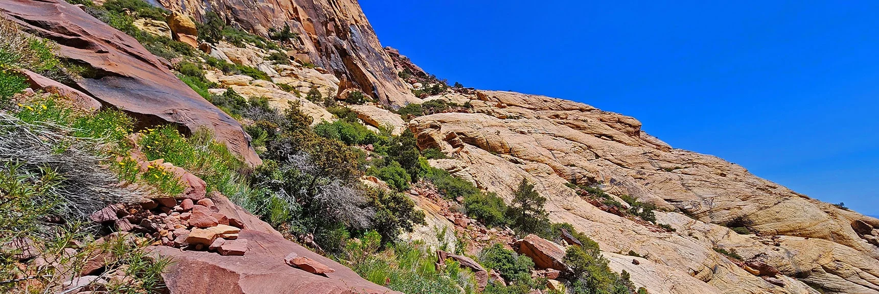 Cairns Begin to Indicate Reconnecting with Juniper Peak Summit Route | Juniper Peak Summit | Rainbow Mountain Wilderness, Nevada | David Smith, LasVegasAreaTrails.com