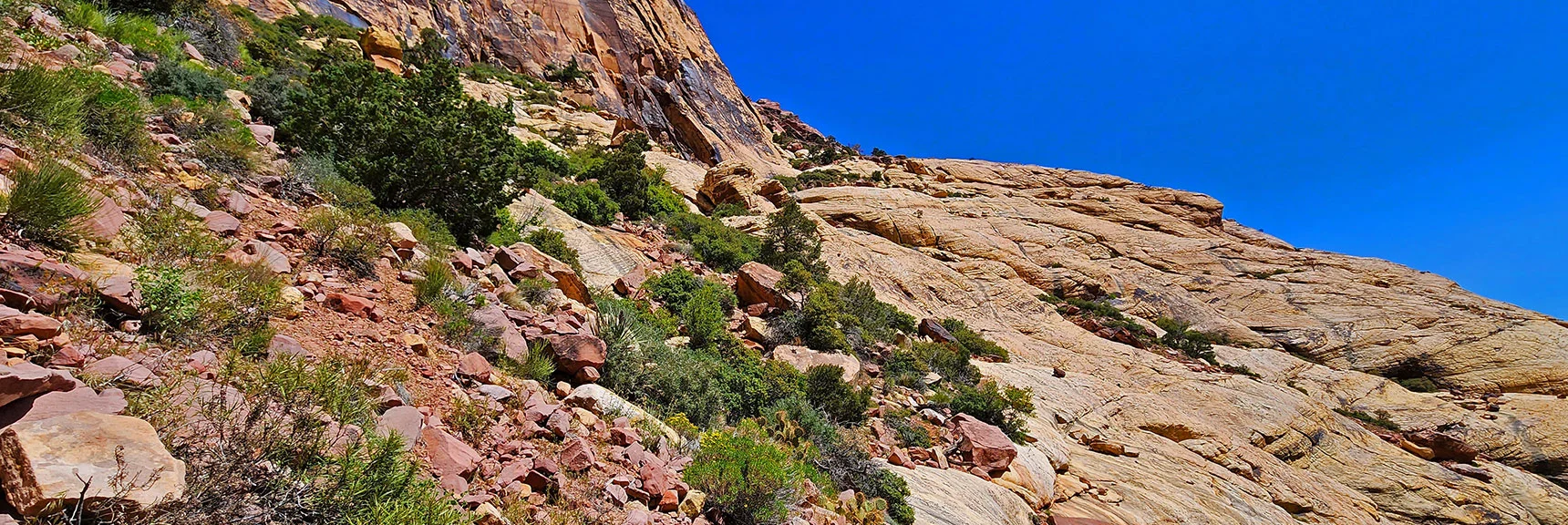 Continuing Up Brownstone Wall Base. Sorting Out Various Paths, Some for Rock Climbers | Juniper Peak Summit | Rainbow Mountain Wilderness, Nevada | David Smith, LasVegasAreaTrails.com