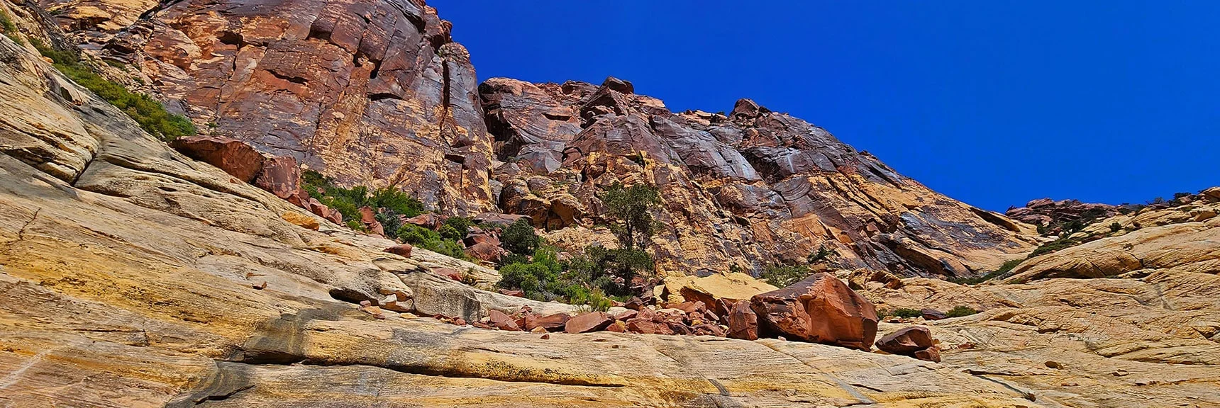 Will Navigate to "Brownstone Wall" Cliff Base Ahead to Avoid Exposure | Juniper Peak Summit | Rainbow Mountain Wilderness, Nevada | David Smith, LasVegasAreaTrails.com