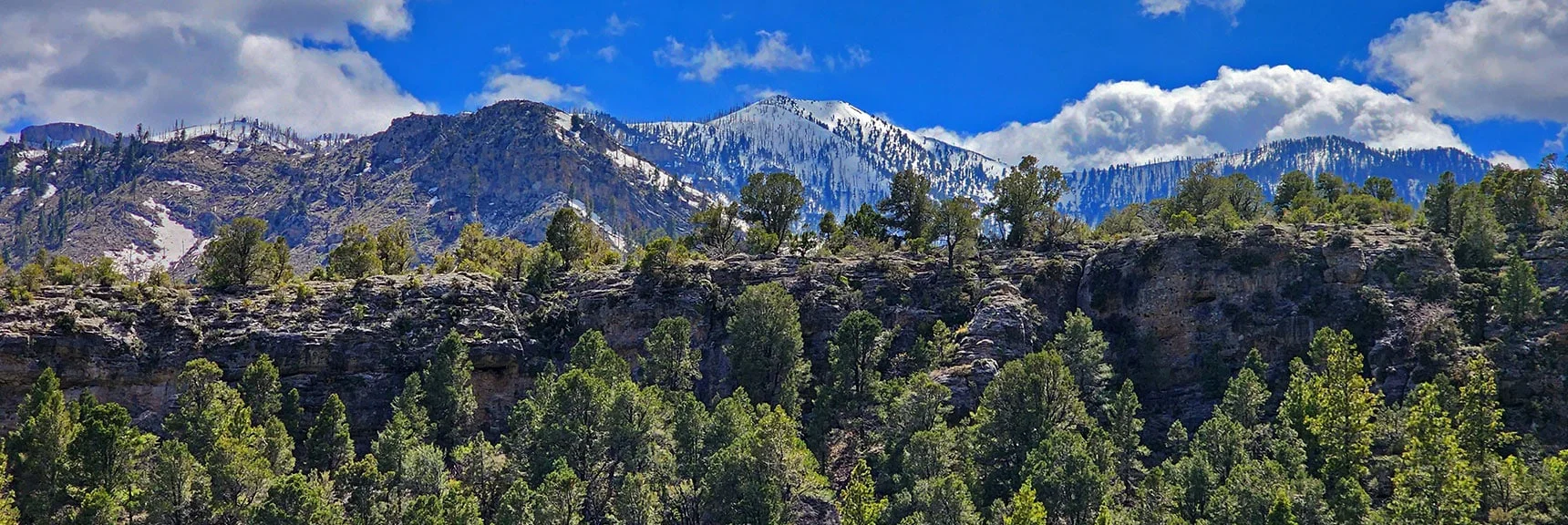 View Toward Lee Peak | Eagles Nest Loop | Mt Charleston Wilderness | Spring Mountains, Nevada