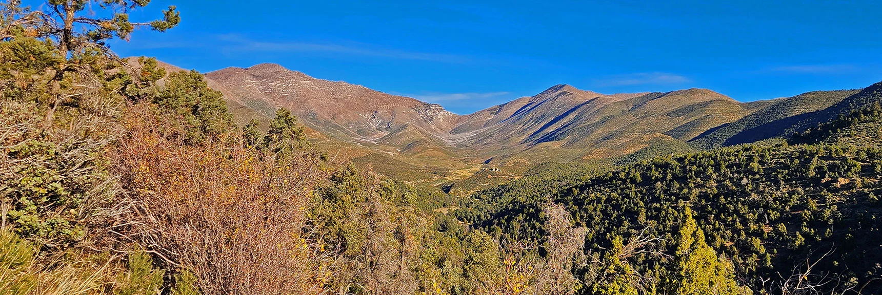 Spectacular View of Upper Lovell Canyon from Summit of First Hill | Griffith Shadow Loop | Lovell Canyon, Nevada