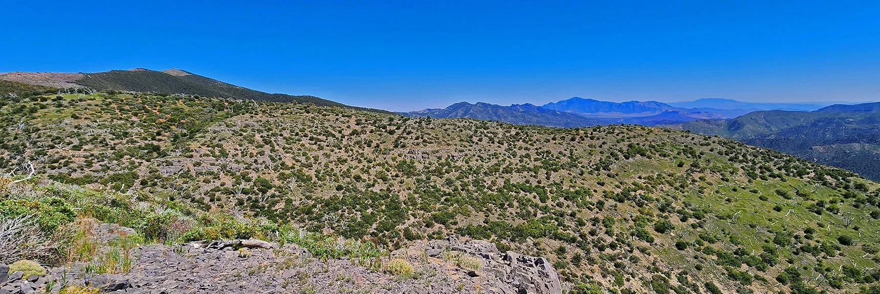 Mid South Descent Ridge with Distant Potosi Mt. in Background | Wilson Ridge Lovell Canyon Loop | Lovell Canyon, Nevada
