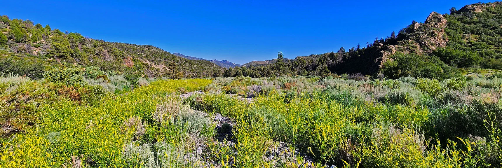 Will Round Rocky Area, Then Turn Right to Locate Lovell Canyon Trail. | Wilson Ridge Lovell Canyon Loop | Lovell Canyon, Nevada