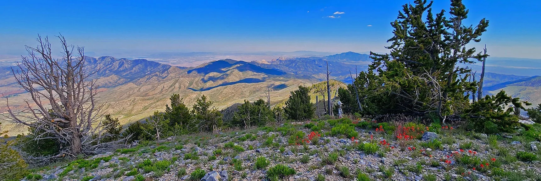 Harris Mountain Summit is Wild, Rarely Visited Due to Remote Trailheads | Fletcher Canyon to Harris Mountain Summit | Mt Charleston Wilderness, Nevada