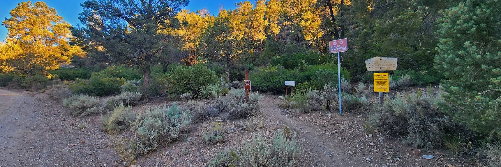 Lovell Canyon Trailhead at Camping Area on Lovell Summit Rd | Wilson Ridge / Sexton Ridge Circuit | Lovell Canyon, Nevada
