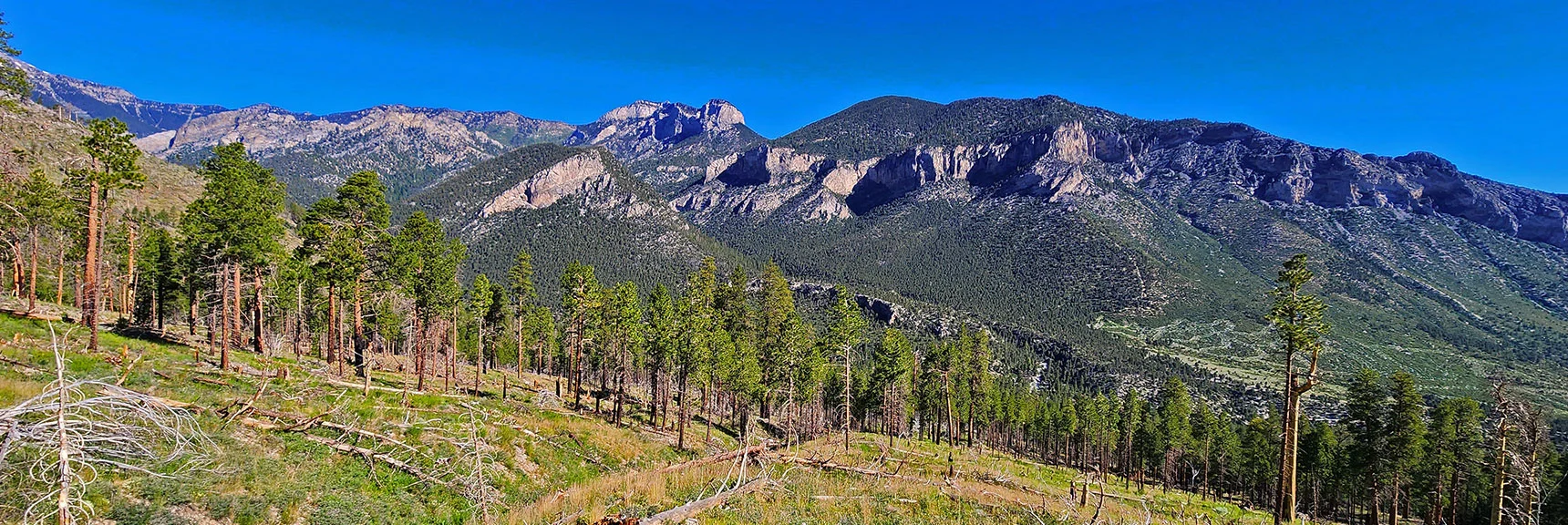 Fletcher Peak and Fletcher Canyon Viewed from About 7,600ft on the Ridge | Fletcher View Ridge | Mt Charleston Wilderness, Nevada