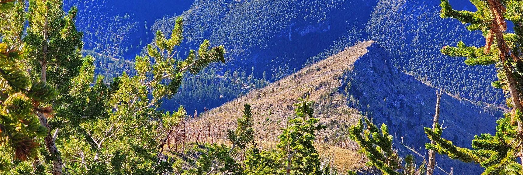Will Angle Left Down Slope to Rainbow Subdivision At Lower Edge of Ridge | Harris Mountain Triangle | Mt Charleston Wilderness, Nevada