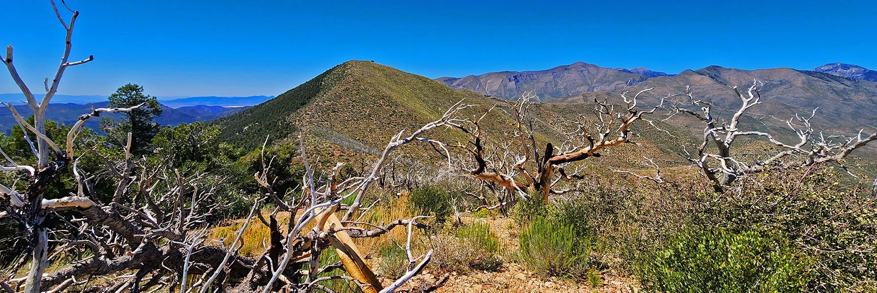Terrain Back to Southern High Point is Burnt, Ahead is Pine Forest Spared from Burn | Wilson Ridge Lower Loop | Lovell Canyon, Nevada