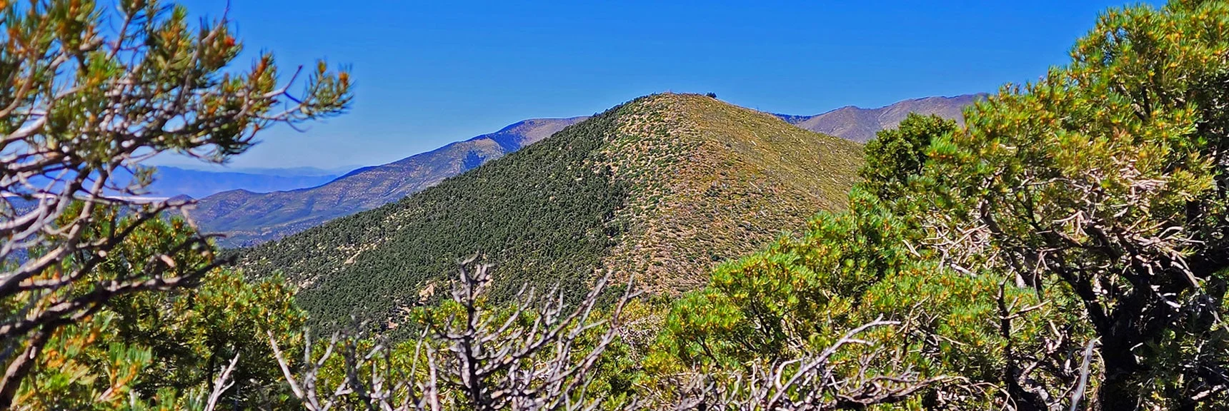 Southern High Point, Sexton Ridge in Background | Wilson Ridge Lower Loop | Lovell Canyon, Nevada