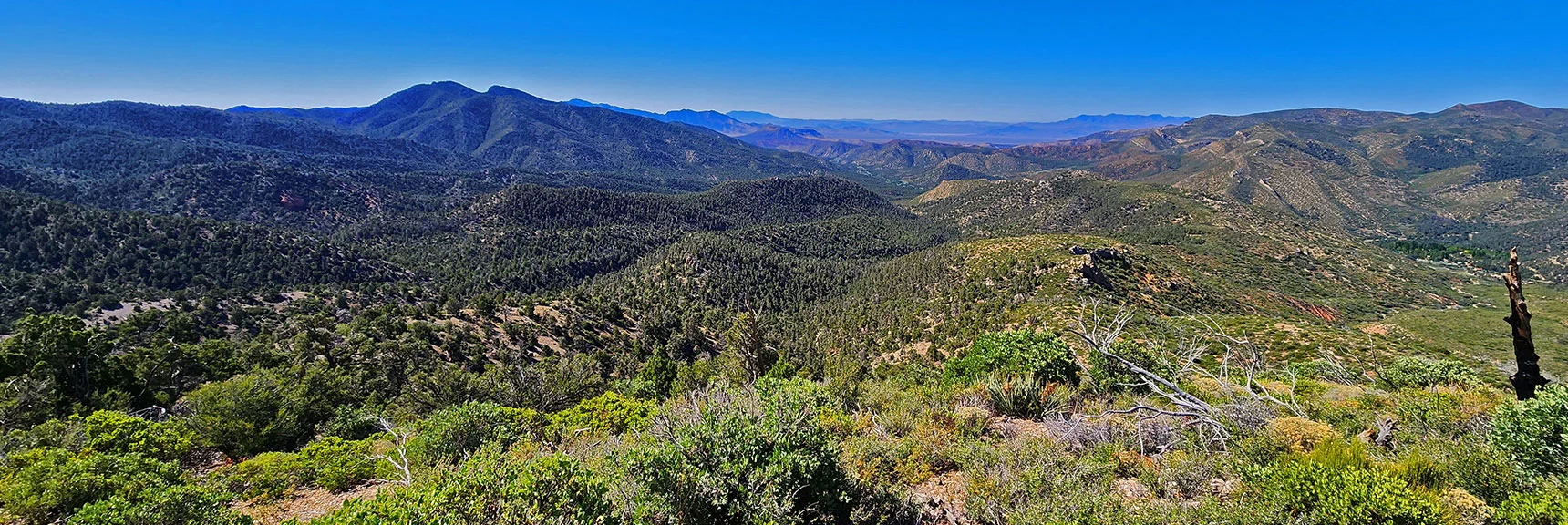 View Back Down from Midway on Approach Ridge | Wilson Ridge Lower Loop | Lovell Canyon, Nevada