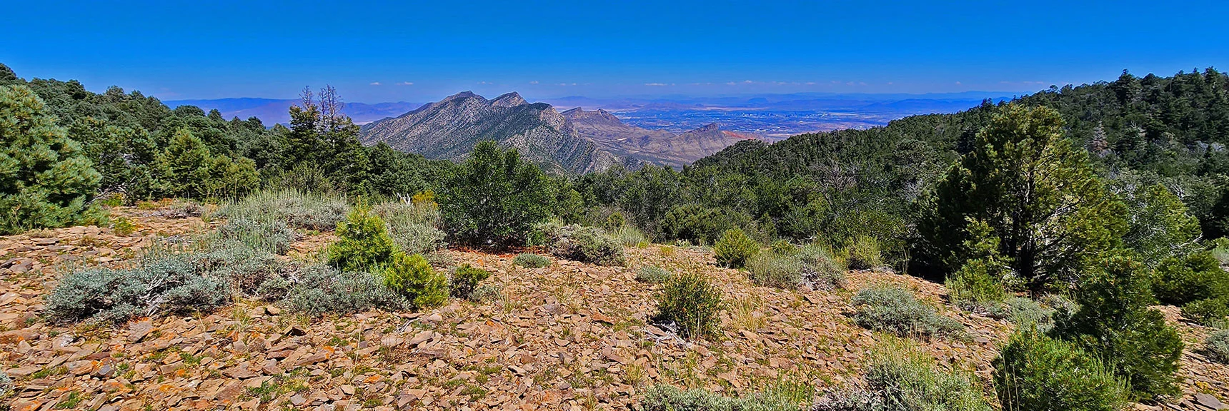 View East Across Limestone Plateau to La Madre Mts., Red Rock Canyon Peaks. | Wilson Ridge Lower Loop | Lovell Canyon, Nevada