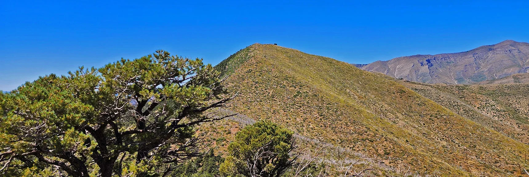 View Back to Southern High Point While Ascending Above Saddle | Wilson Ridge Lower Loop | Lovell Canyon, Nevada