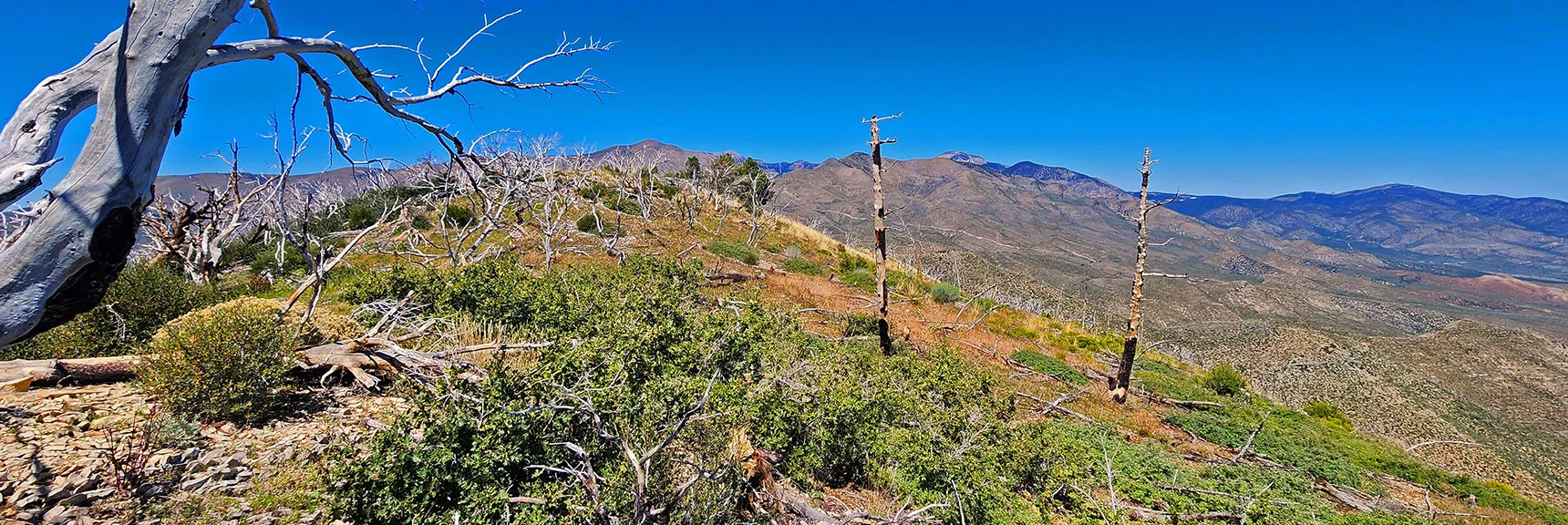 Arrival on Wilson Ridge Southern High Point. View Toward Griffith Peak and Harris Mt. | Wilson Ridge Lower Loop | Lovell Canyon, Nevada
