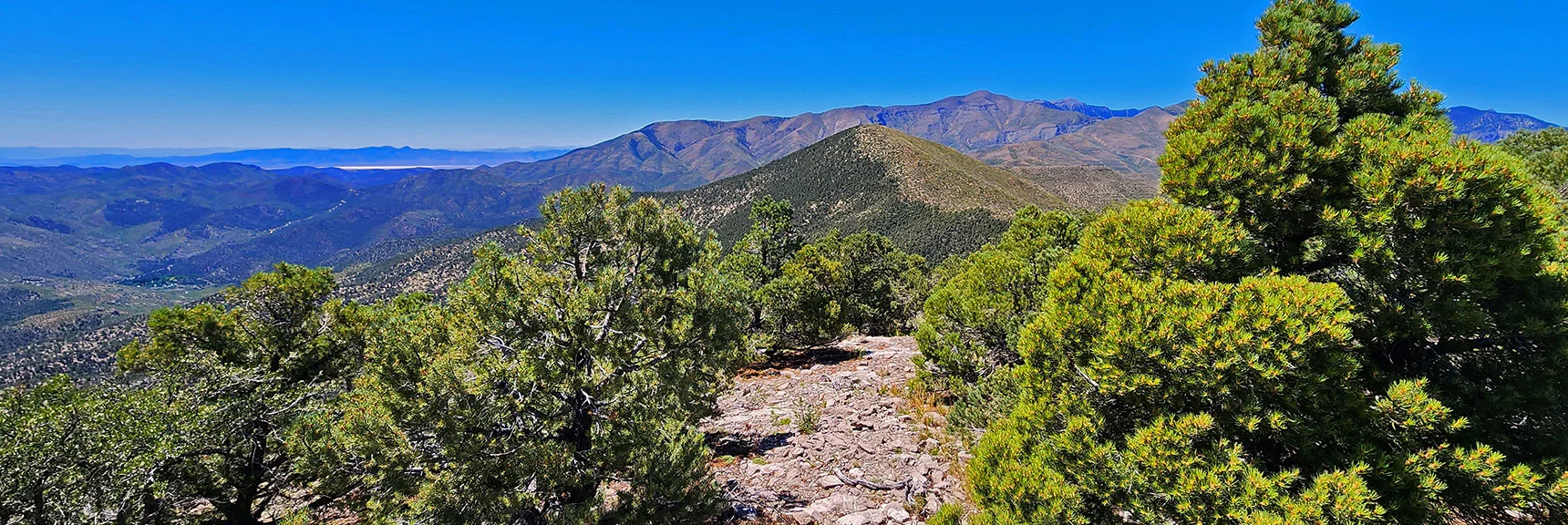 Another View Back Up Wilson Ridge to Southern High Point. All Spectacular, Untouched Wilderness. | Wilson Ridge Lower Loop | Lovell Canyon, Nevada