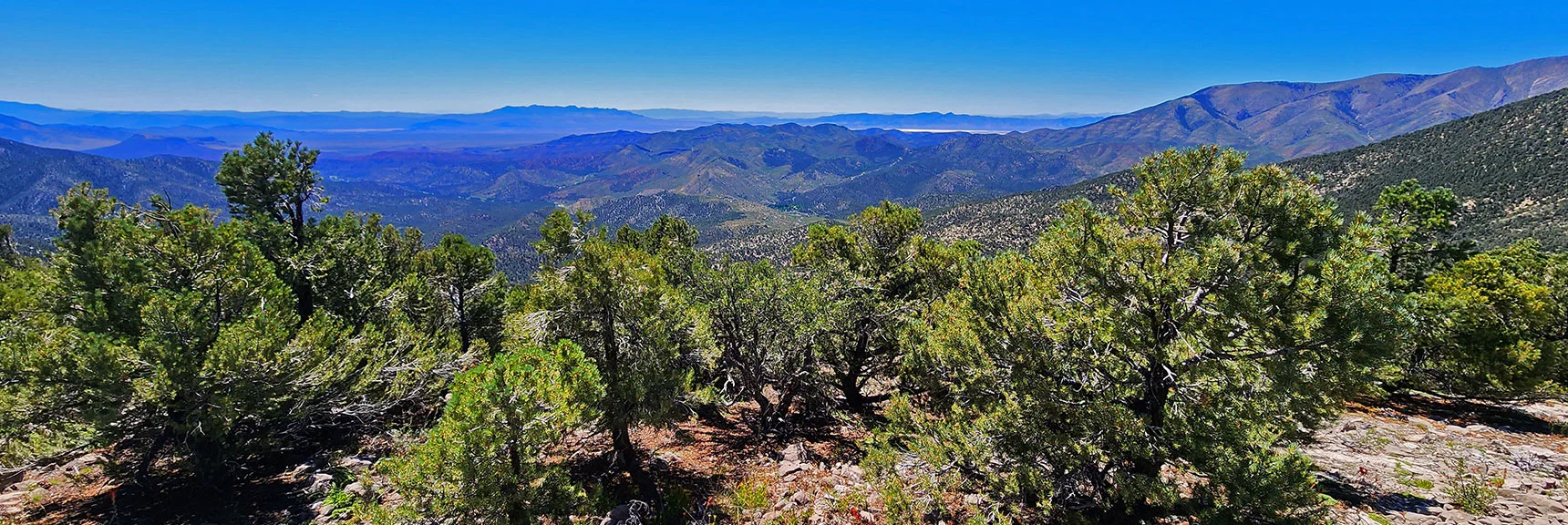 Multiple Gradual Descent Points to Lovell Canyon Road. This is one. | Wilson Ridge Lower Loop | Lovell Canyon, Nevada