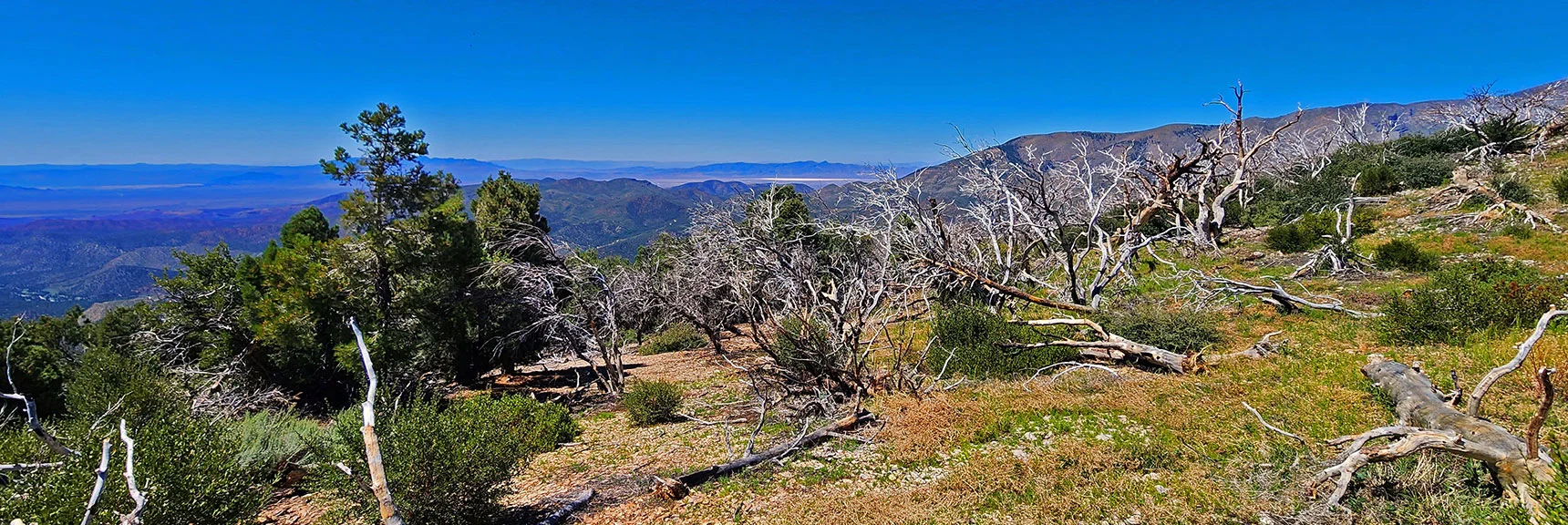Southern High Point to Death Valley Area in Far Distance | Wilson Ridge Lower Loop | Lovell Canyon, Nevada