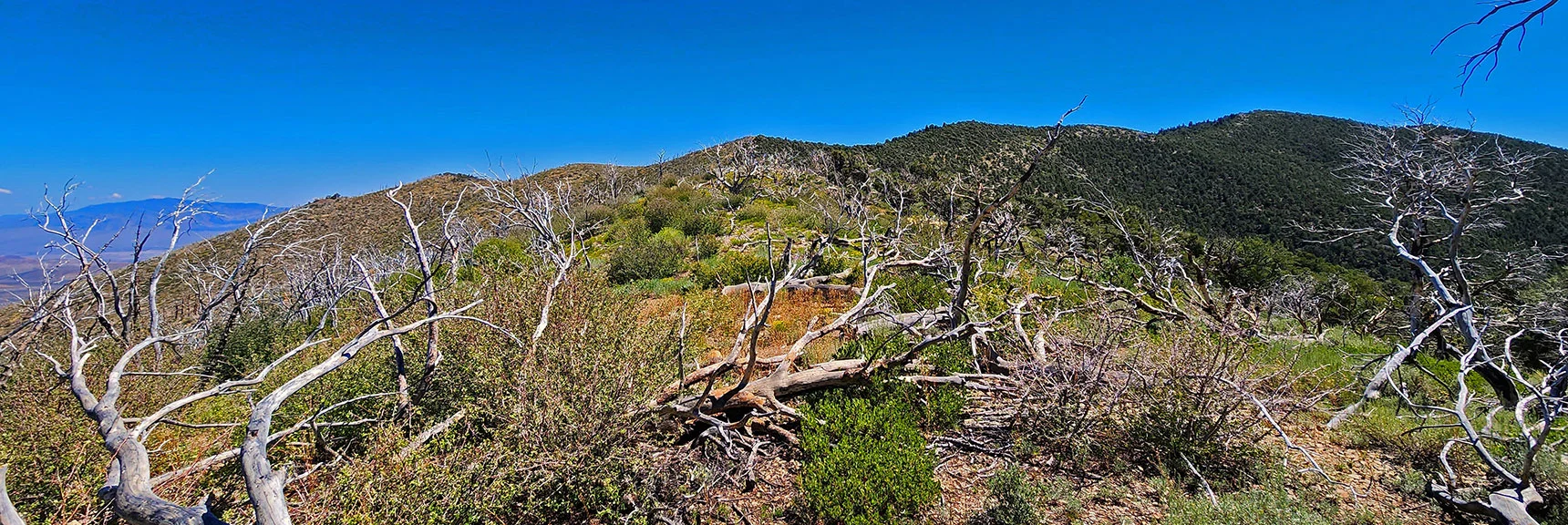 Arrival on Saddle at Base of Southern High Point | Wilson Ridge Lower Loop | Lovell Canyon, Nevada