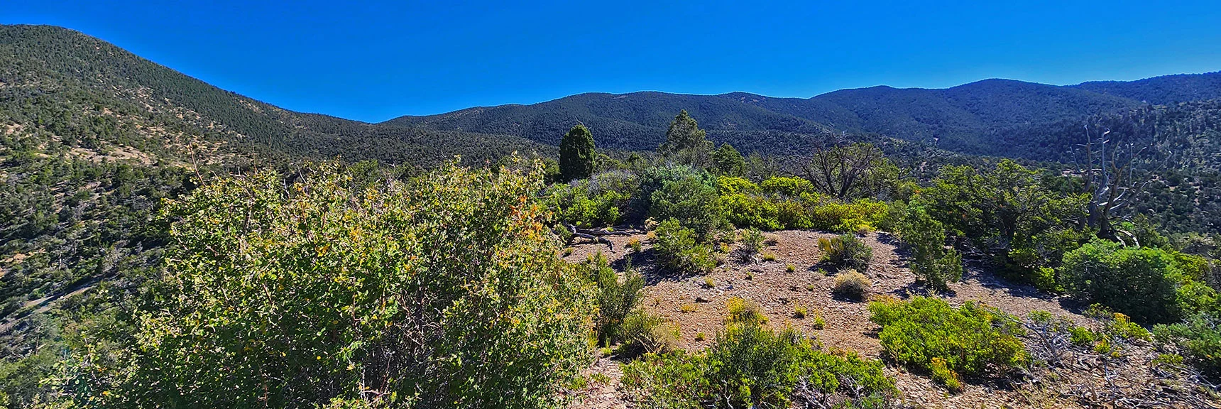 Wilson Ridge Stretching South from Southern High Point | Wilson Ridge Lower Loop | Lovell Canyon, Nevada