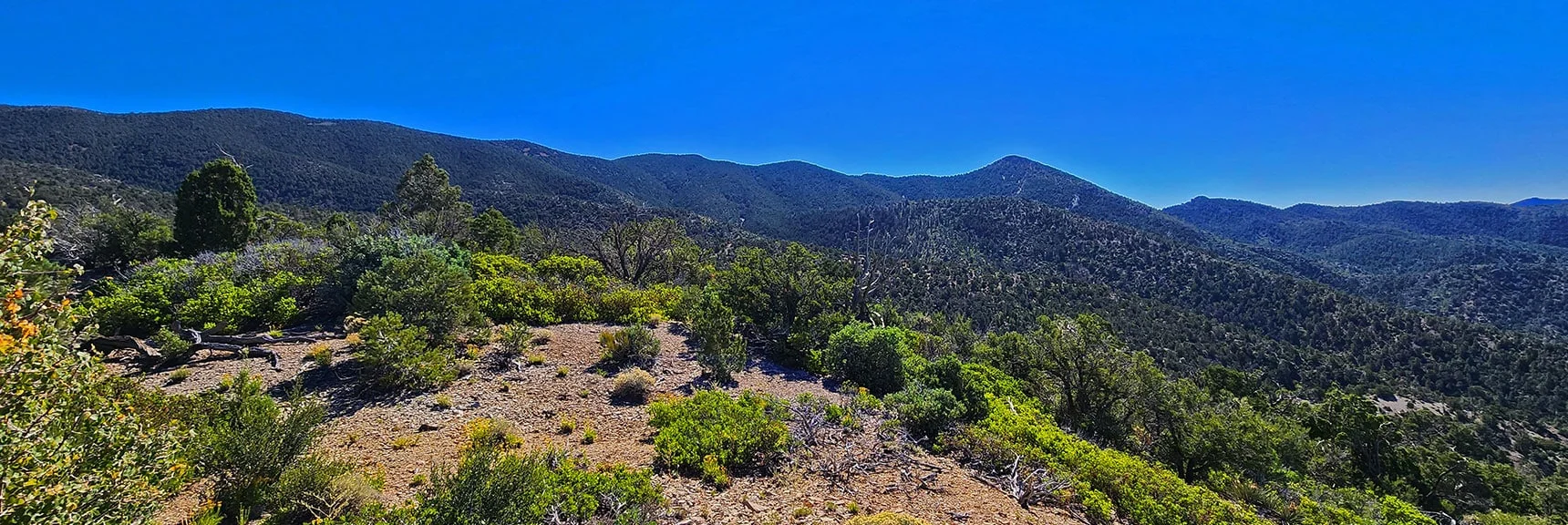 View to Wilson Ridge Southern High Point from Midway on Ridge | Wilson Ridge Lower Loop | Lovell Canyon, Nevada