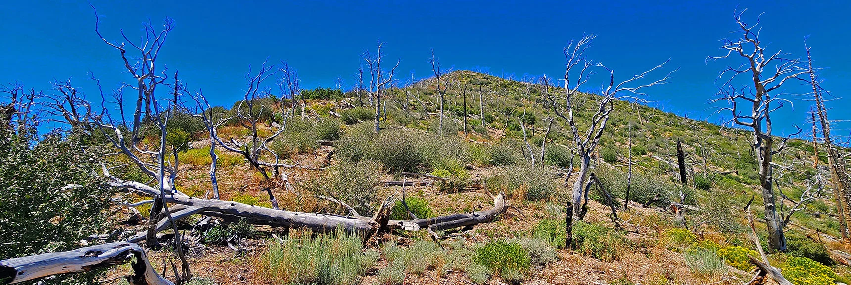 View Back to Southern High Point from Saddle Below | Wilson Ridge Lower Loop | Lovell Canyon, Nevada