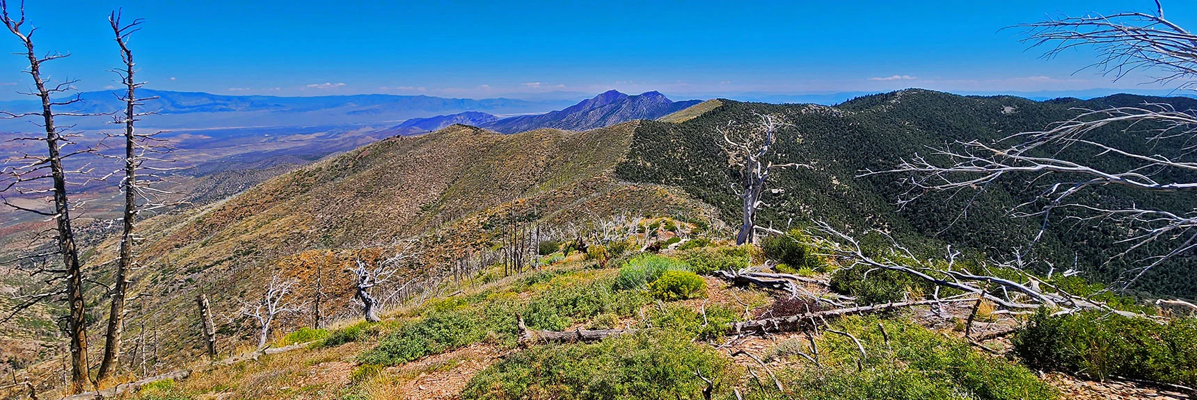 Wilson Ridge Descending South from Southern High Point. La Madre Mts. in Distance | Wilson Ridge Lower Loop | Lovell Canyon, Nevada