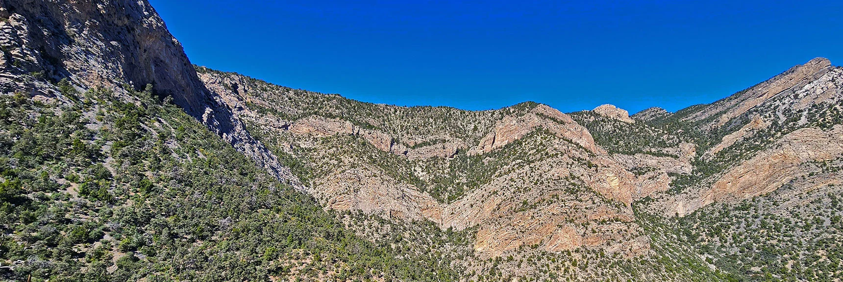 Potential Summit Access Point Up Left Side of Canyon | Switchback Spring Ridge | Red Rock Canyon, Nevada
