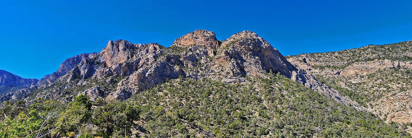 Cliff Area on Wilson Ridge with Potential Summit Access Points | Switchback Spring Ridge | Red Rock Canyon, Nevada