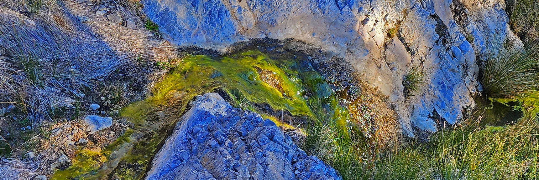 Cascading Water Along Switchback Spring | Switchback Spring Ridge | Red Rock Canyon, Nevada