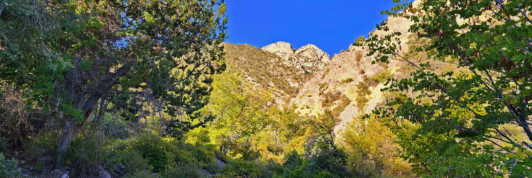 Entering Switchback Spring Canyon Just Before the 1st Switchback Stretch on Rocky Gap Rd. | Switchback Spring Ridge | Red Rock Canyon, Nevada