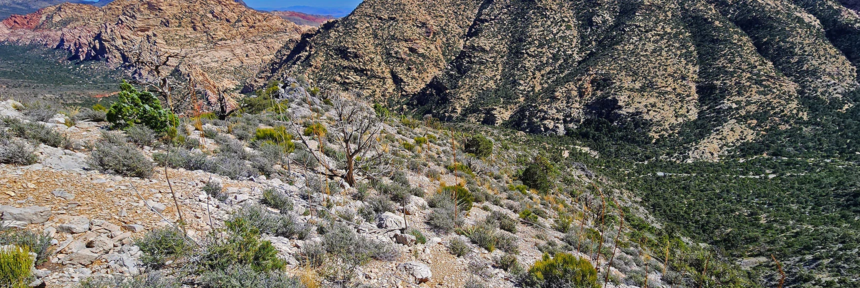 Switchback Spring Ridge is More Gradual on the South Side. Best Access Point. | Switchback Spring Ridge | Red Rock Canyon, Nevada