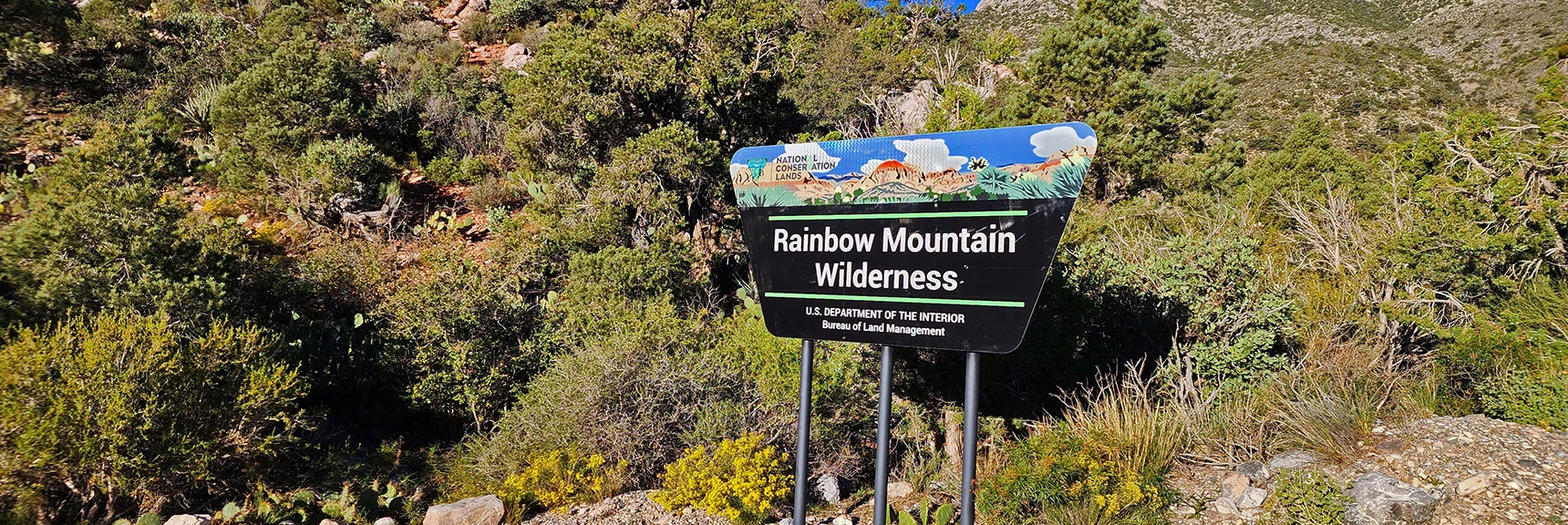 Rainbow Mt. Wilderness: One of Three Major Wilderness Areas Visited Today | Switchback Spring Ridge | Red Rock Canyon, Nevada