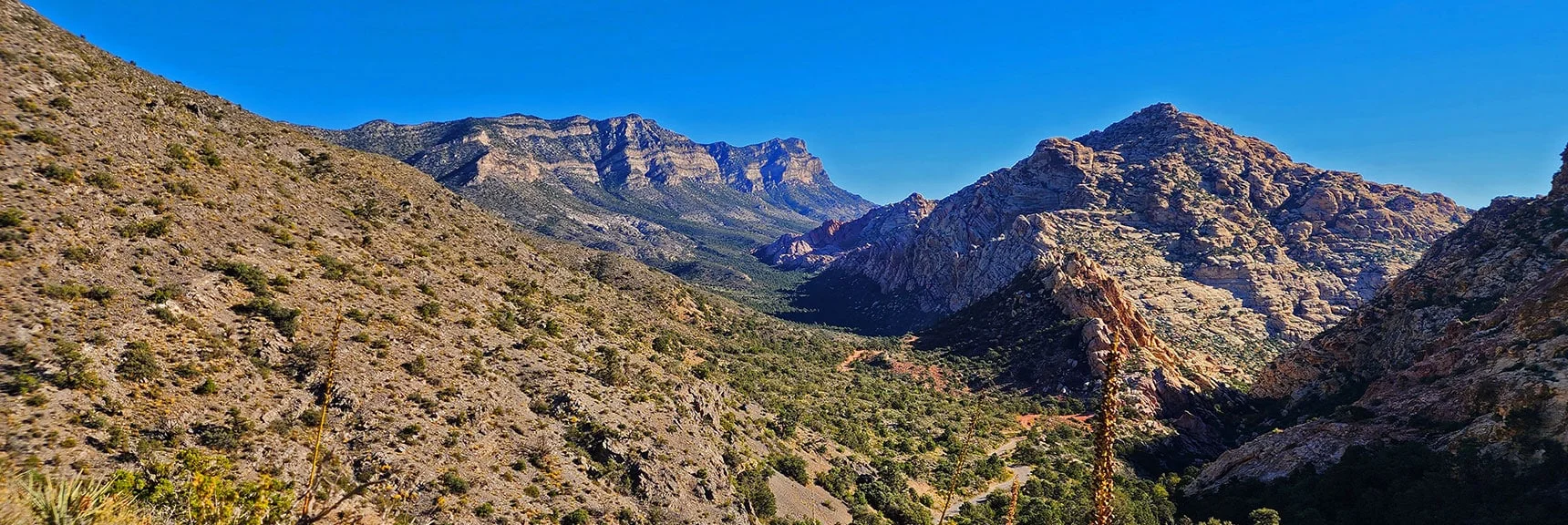 Expanding Views While Ascending Switchback Spring Ridge: White Rock Mt. & La Madre Mts. | Switchback Spring Ridge | Red Rock Canyon, Nevada