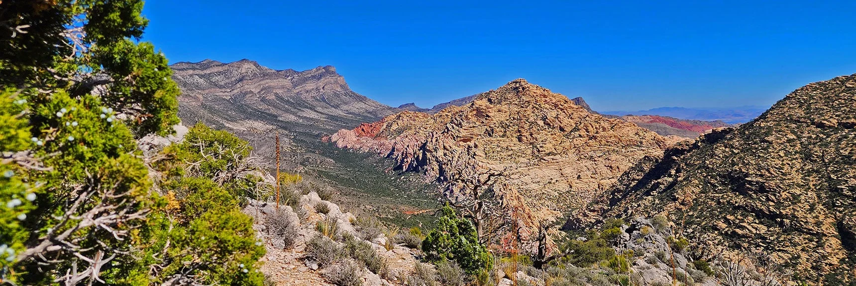 La Madre Mts., White Rock Mt. and Northern Rainbow Mts. from Switchback Spring Ridge | Switchback Spring Ridge | Red Rock Canyon, Nevada