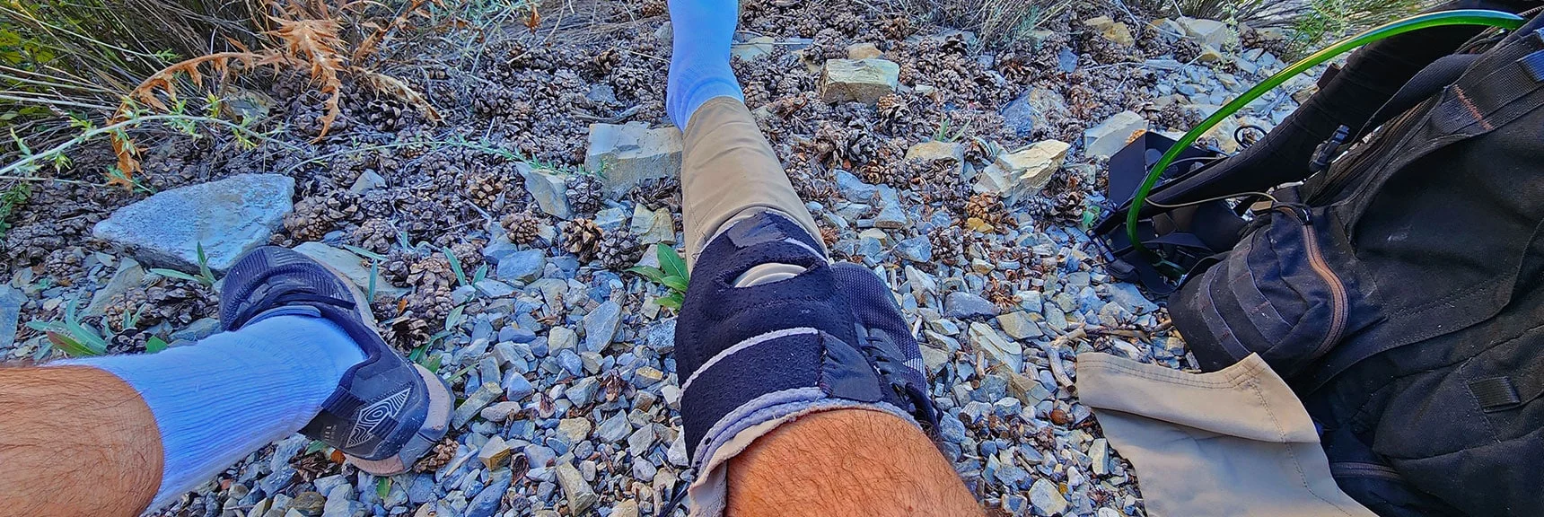 Thick Vegetation Requires a Sage Guard System | Switchback Spring Ridge | Red Rock Canyon, Nevada