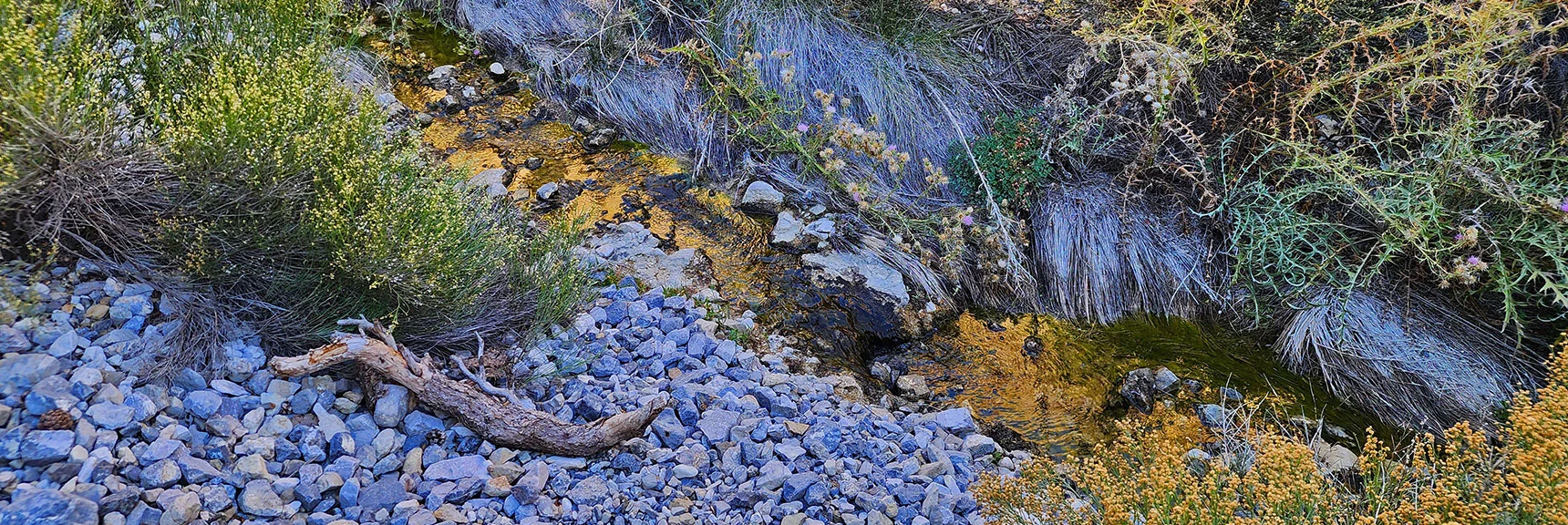 Switchback Spring is Running Well During the Driest Season: October | Switchback Spring Ridge | Red Rock Canyon, Nevada