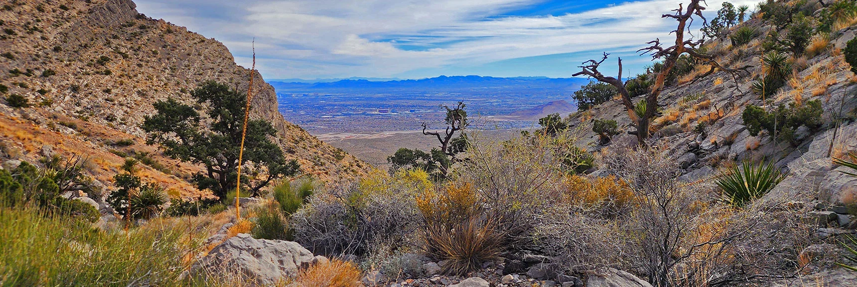 Gully is Rocky, Complicated, Will Ascend the SE Slope | Damsel Peak Southeastern Slope | Calico & Brownstone Basins, Nevada