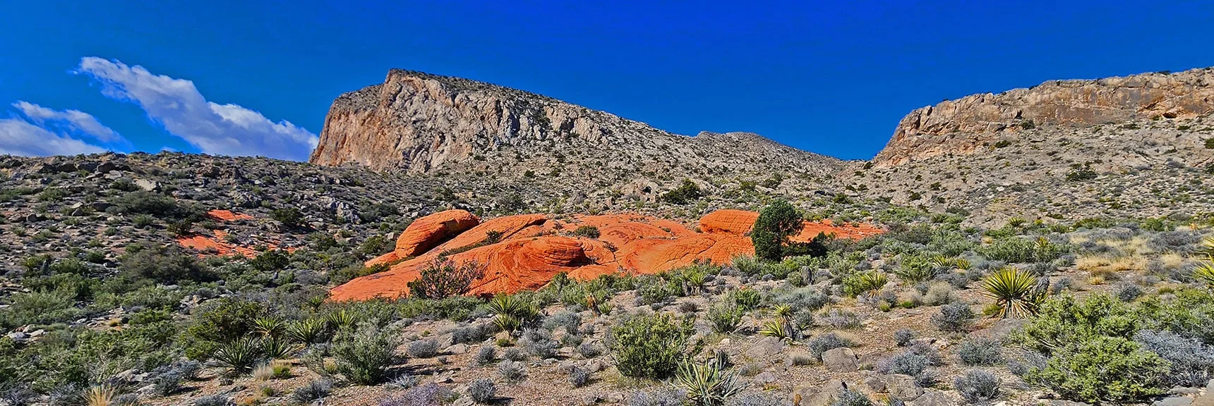 Looking Back Toward SE Corner of Damsel Peak. Note Saddle Summit Approach Here. | Damsel Peak Loop | Gateway Peak | Brownstone Basin, Nevada