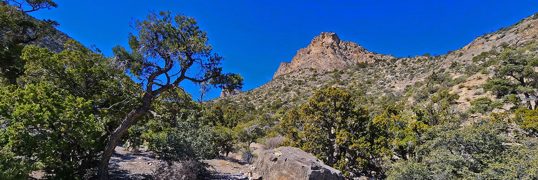 Road Ends Here. Wash Continues Gradual Incline. East Summit of Gateway Peak Ahead. | Damsel Peak Loop | Gateway Peak | Brownstone Basin, Nevada