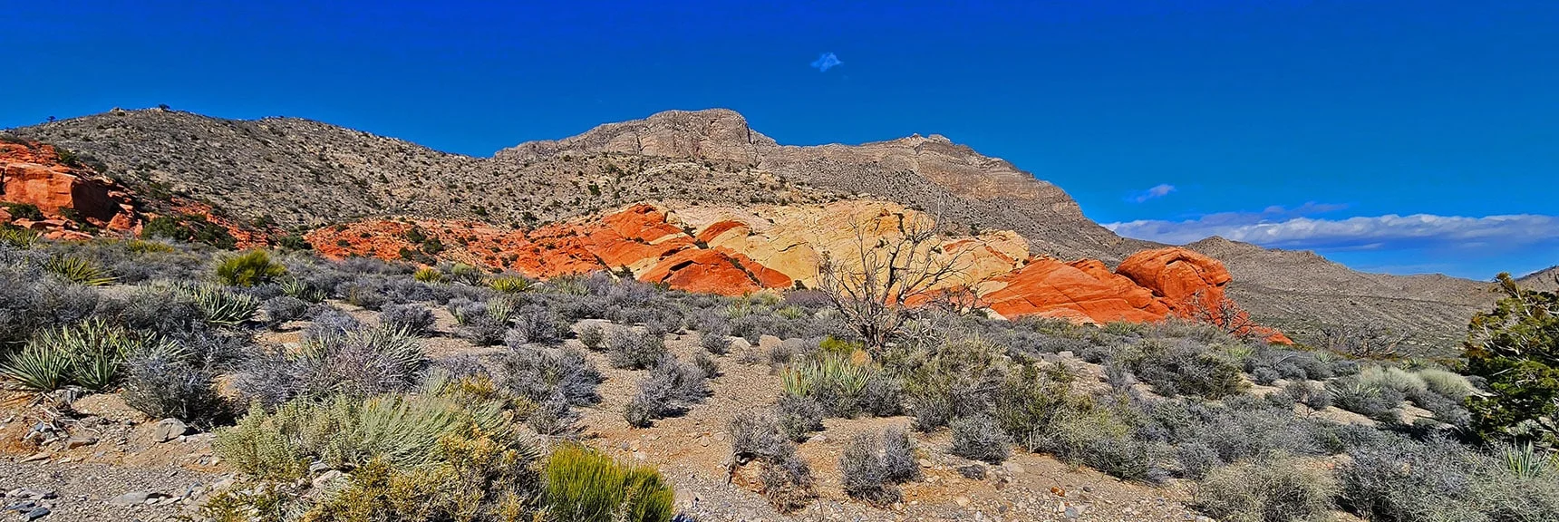 Connecting With Brownstone Trail. Passing Brownstone Calico Hills. West Damsel Peak Background. | Damsel Peak Loop | Gateway Peak | Brownstone Basin, Nevada
