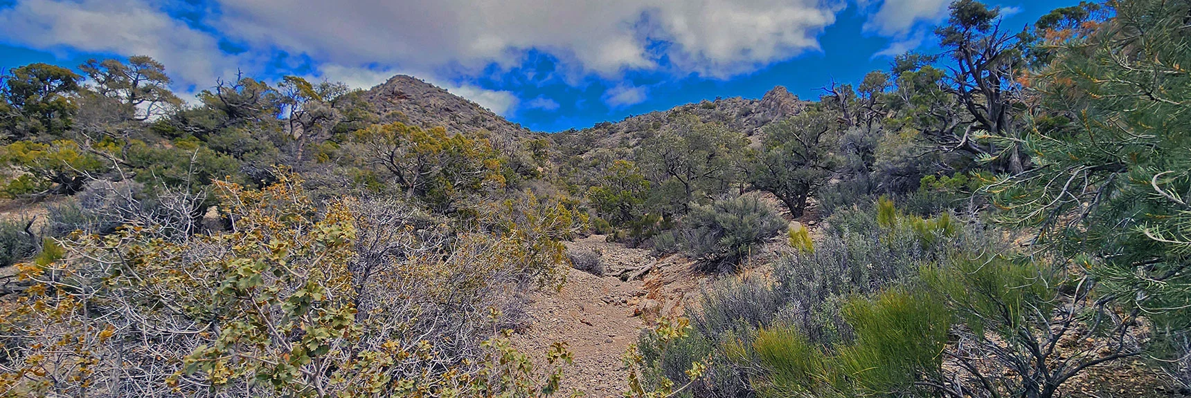View Back Up Gradual Descent/Ascent Gully to Gateway Peak Summit. | Damsel Peak Loop | Gateway Peak | Brownstone Basin, Nevada