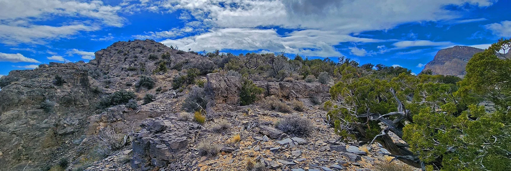 Turn Left (West) Toward True Summit. 360-Degree Summit Views Coming. | Damsel Peak Loop | Gateway Peak | Brownstone Basin, Nevada