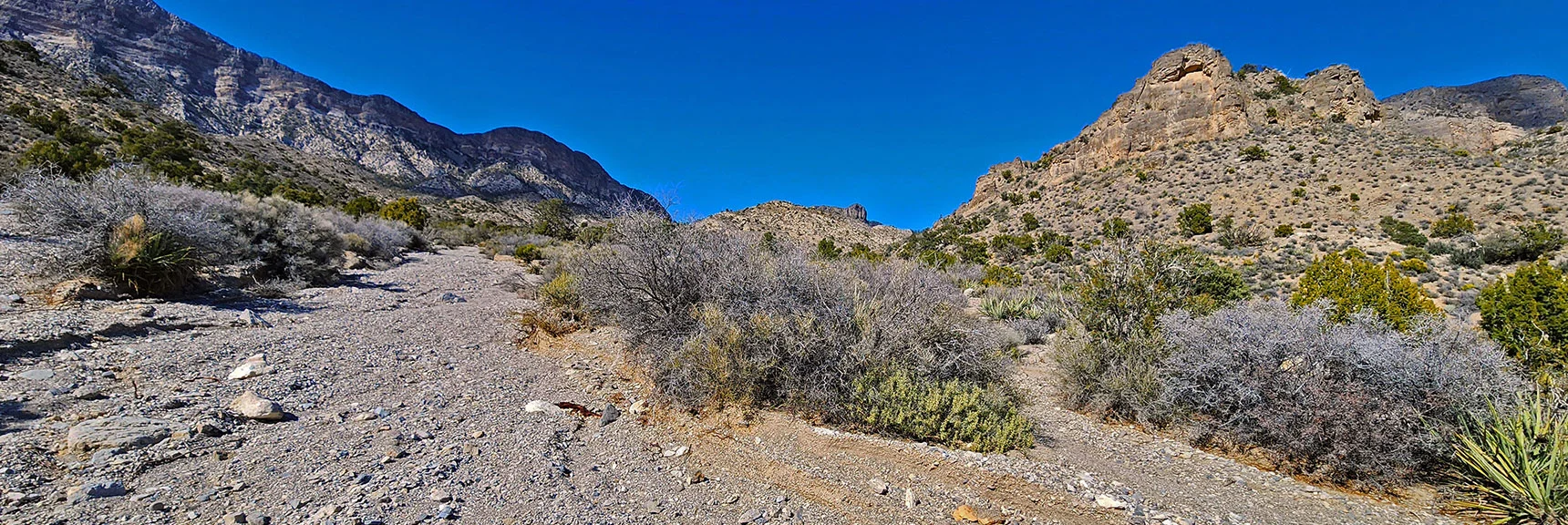 View Back Up Wash to a Gateway Peak (furthest brown high point ahead) | Damsel Peak Loop | Gateway Peak | Brownstone Basin, Nevada