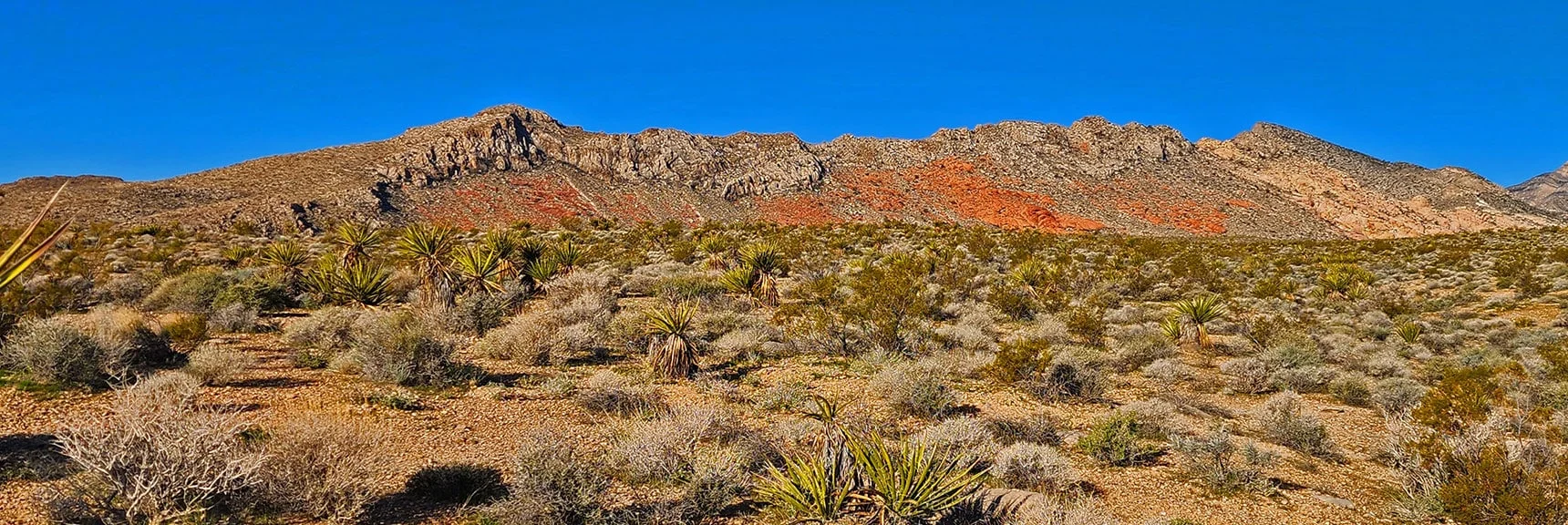 Looking Back at Gray Cap Ridge: Bordering Calico and Brownstone Basins. | Damsel Peak Loop | Gateway Peak | Brownstone Basin, Nevada