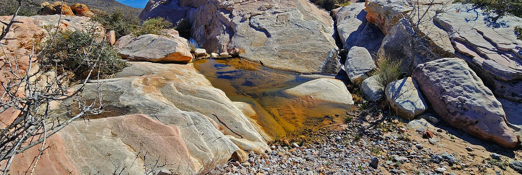 Ephemeral Pool Just Beyond the Upper End of Gray Cap Ridge | Brownstone Trail | Calico Basin | Brownstone Basin | La Madre Mountains Wilderness, Nevada