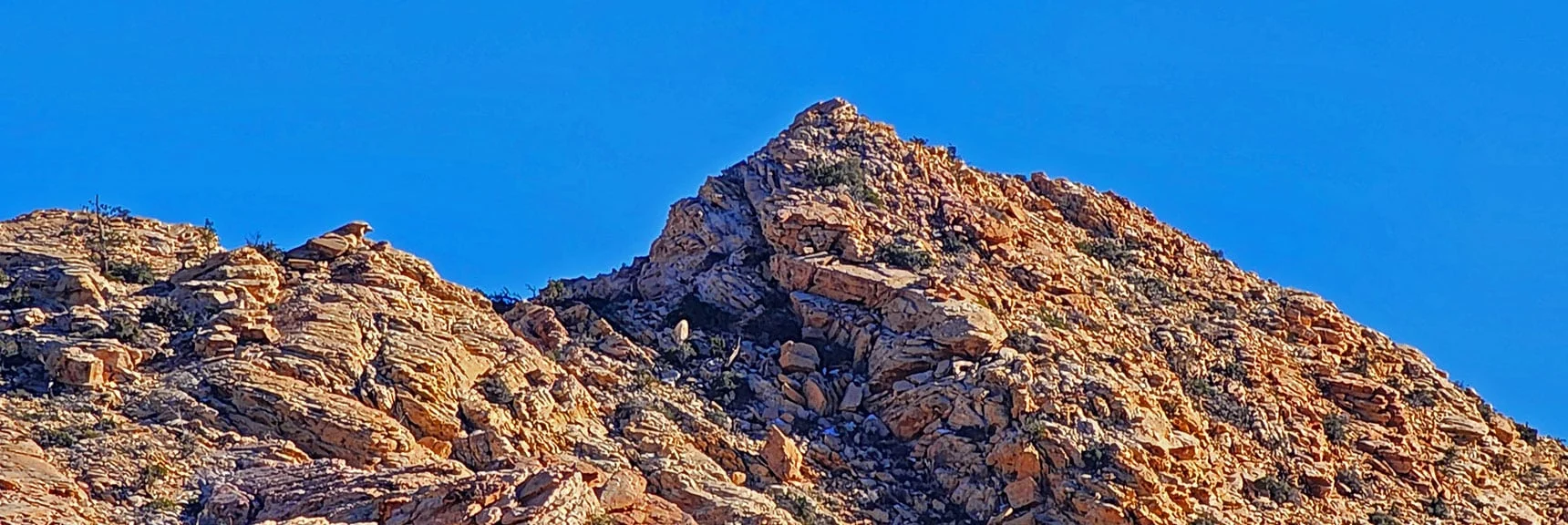 Gray Cap Peak Final Summit Approach Looks Steep (to right of peak)!! | Brownstone Trail | Calico Basin | Brownstone Basin | La Madre Mountains Wilderness, Nevada